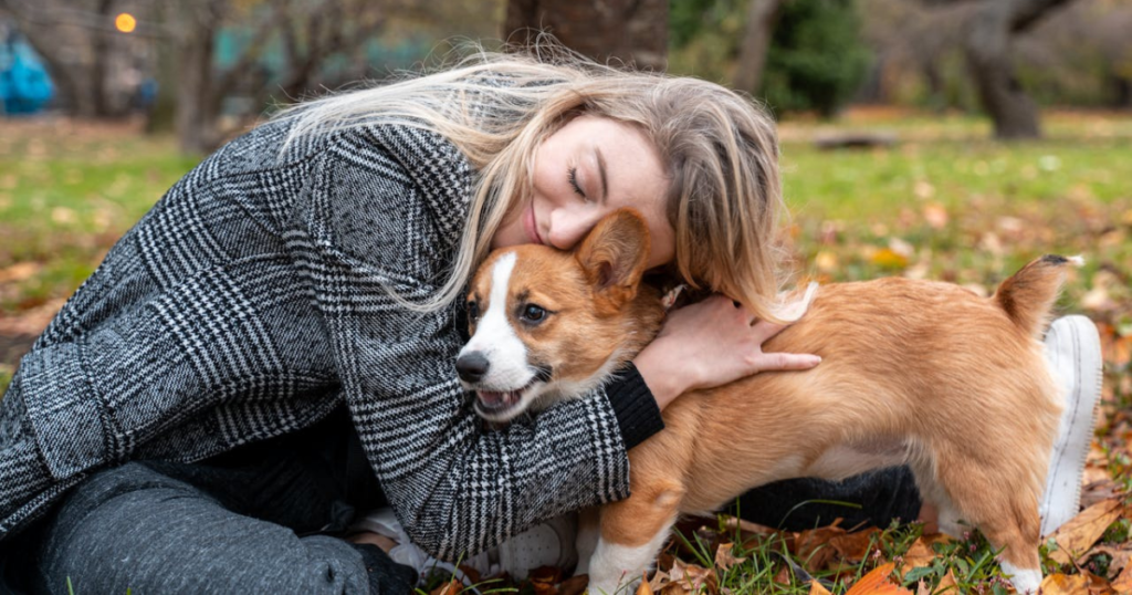 Budget Friendly Dog VS. Premium Dog