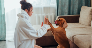 Ultimate dog training guide showing commands behaviour and real life solutions