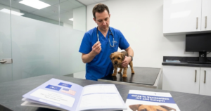 Dog receiving DHPP and rabies vaccination at veterinary clinic