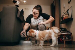 types of balanced dog diets kibble wet food fresh food raw diet