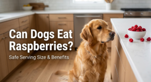 Can Dogs Eat Raspberries? Safe Serving Size, Benefits & Side Effects