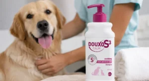 Douxo S3 Calm shampoo for dogs