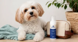 Paw Choice travel size dry shampoo for dogs portable foam cleanser