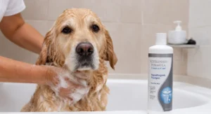 Veterinary Formula Clinical Care hypoallergenic dog shampoo