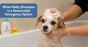 When Baby Shampoo Is a Reasonable Emergency Option
