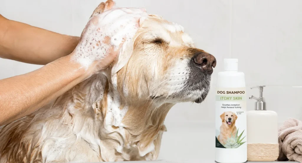 dog shampoo for itchy skin