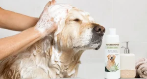 Best Dog Shampoo for Itchy Skin: Vet-Recommended Options