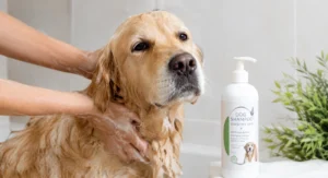 Best Hypoallergenic Dog Shampoos for Sensitive Skin (2026 Guide)